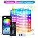 Вуличні вогні 3 м Smart Bluetooth &mdash; смарт світлодіодна LED гірлянда RGB, музична, USB, IP65 LED3M фото 2