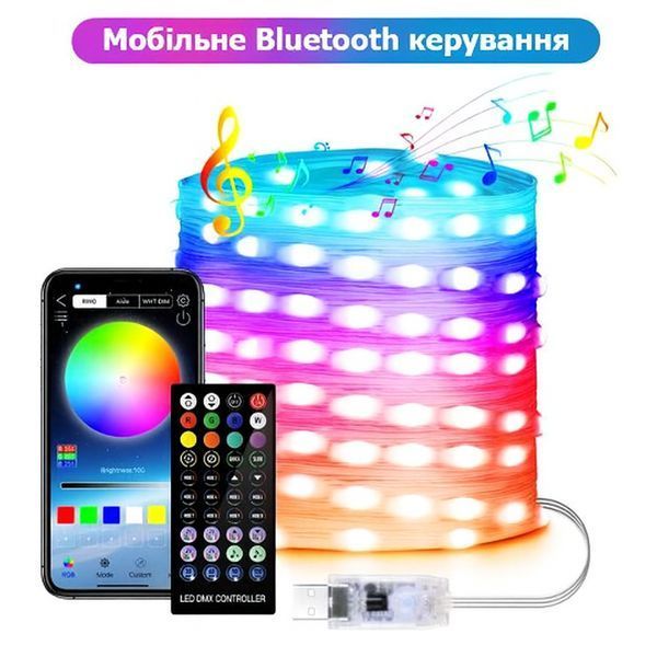 Вуличні вогні 10 м Smart Bluetooth App Control &mdash; світлодіодна LED гірлянда 100 LED, RGB, USB, IP65, музична LRT10M фото